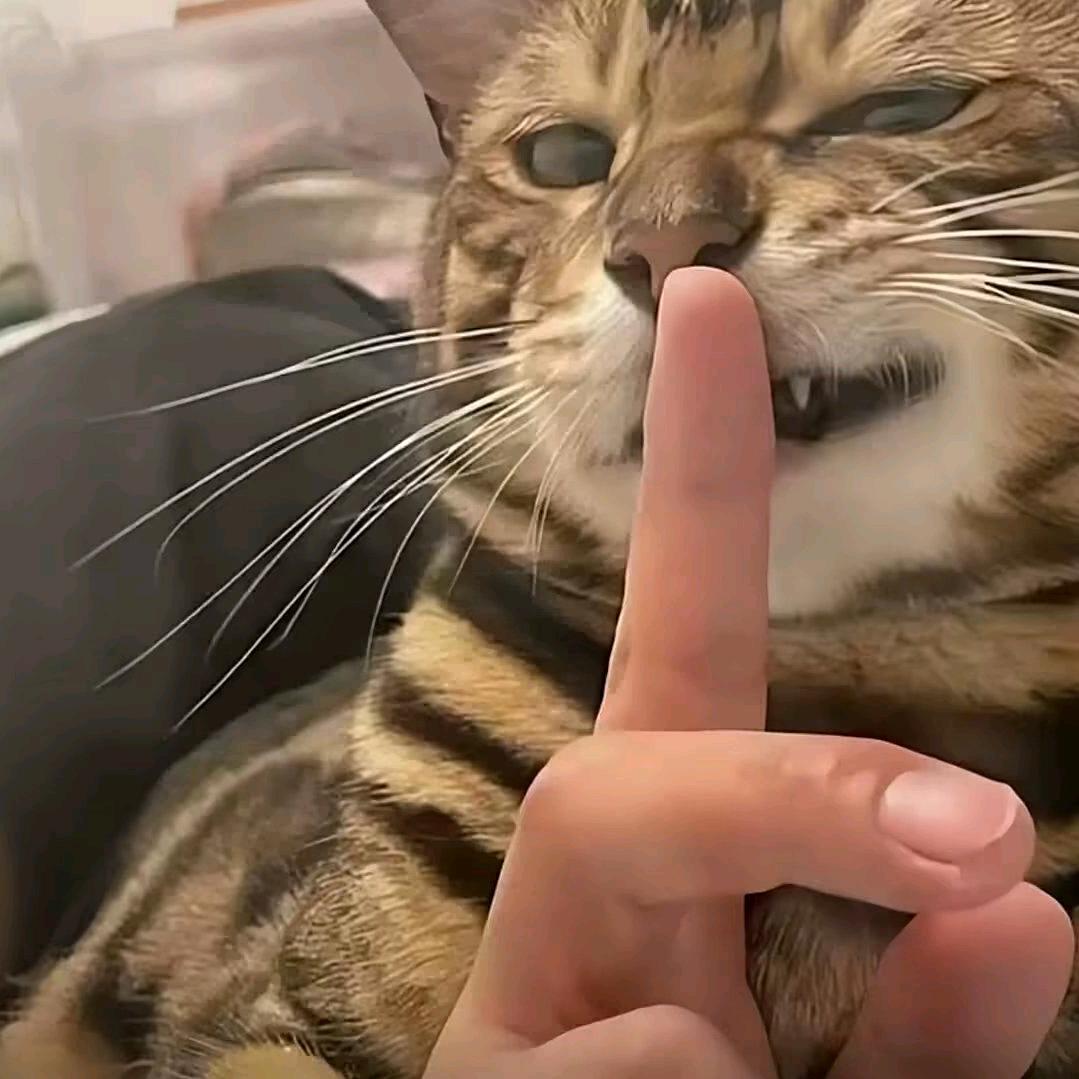 雾失归舟