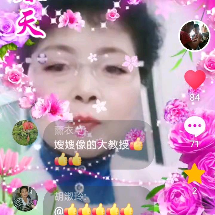 风雨人生（棕子）