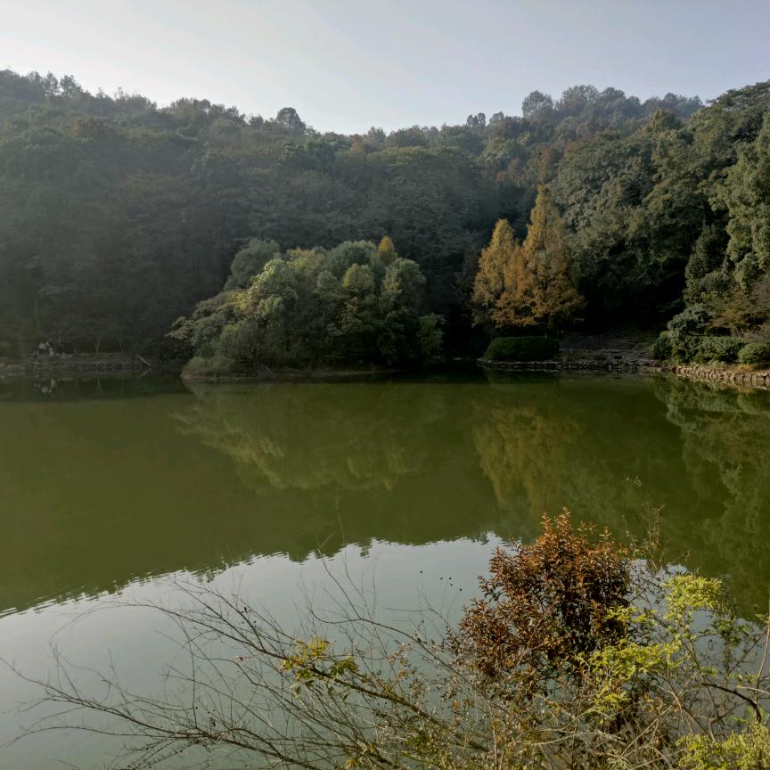 原来是你啊