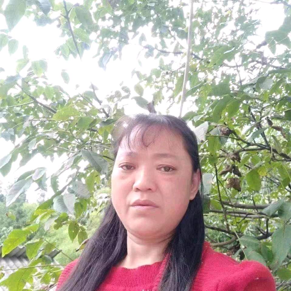 王应菊