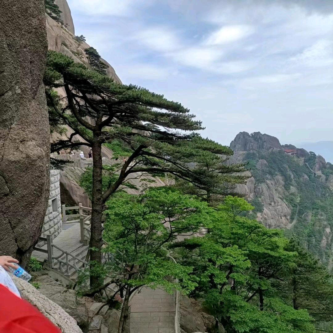 张雷