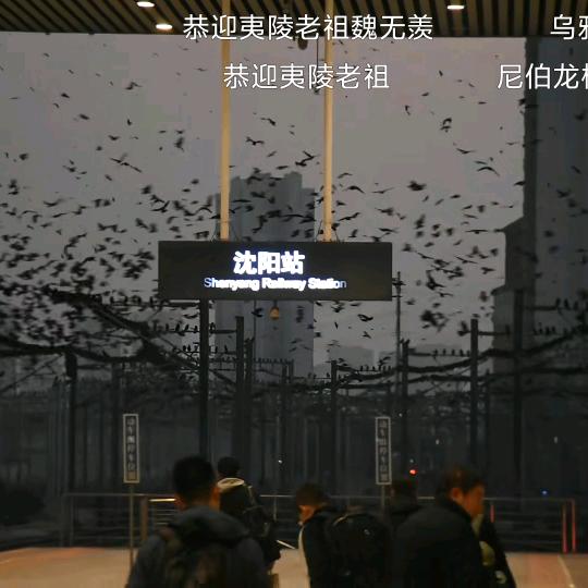 泥煤飞美人