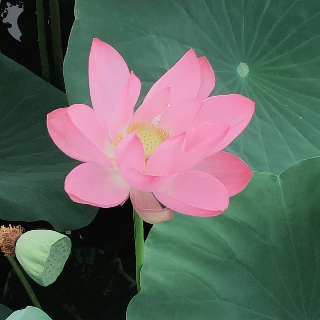 风一般的忧伤