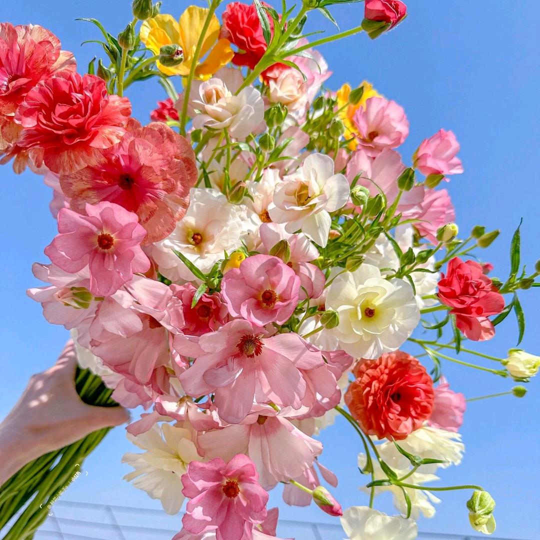 ♡随遇Ꮚ･᷄ꈊ･᷅Ꮚ而安ʚ♡⃛ɞ