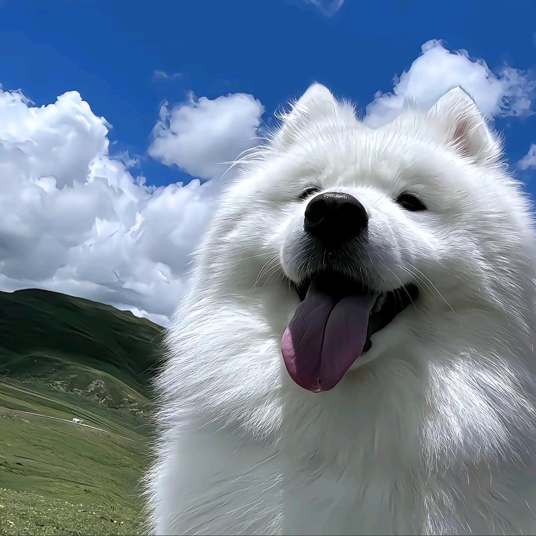 盈新他真的不好说话