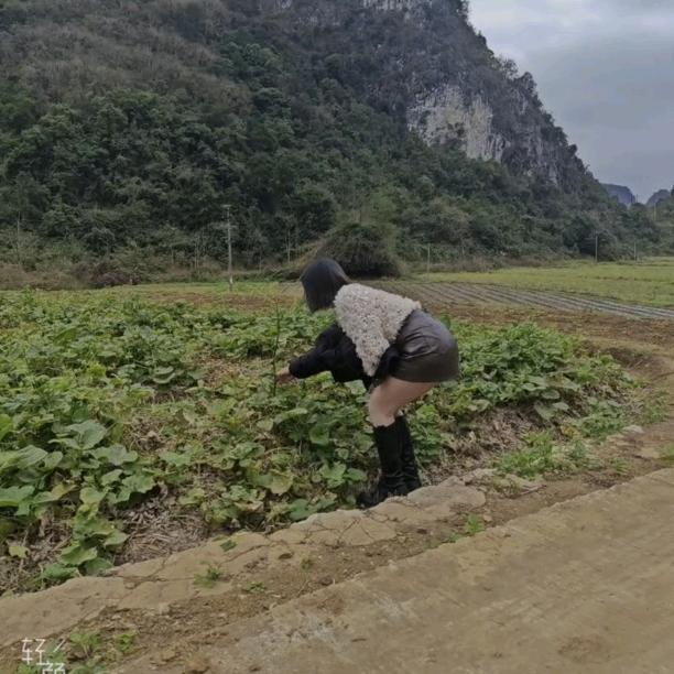 深情是罪