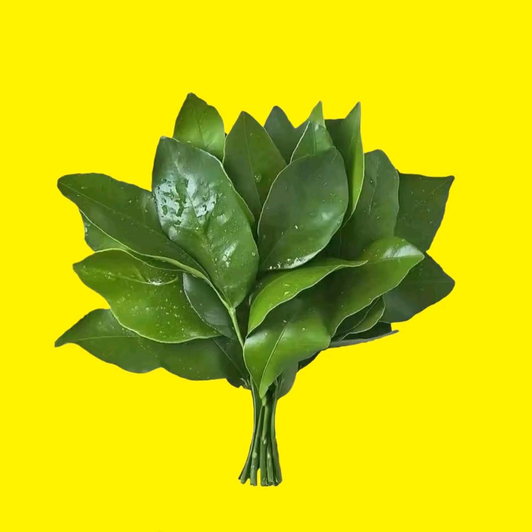 ww