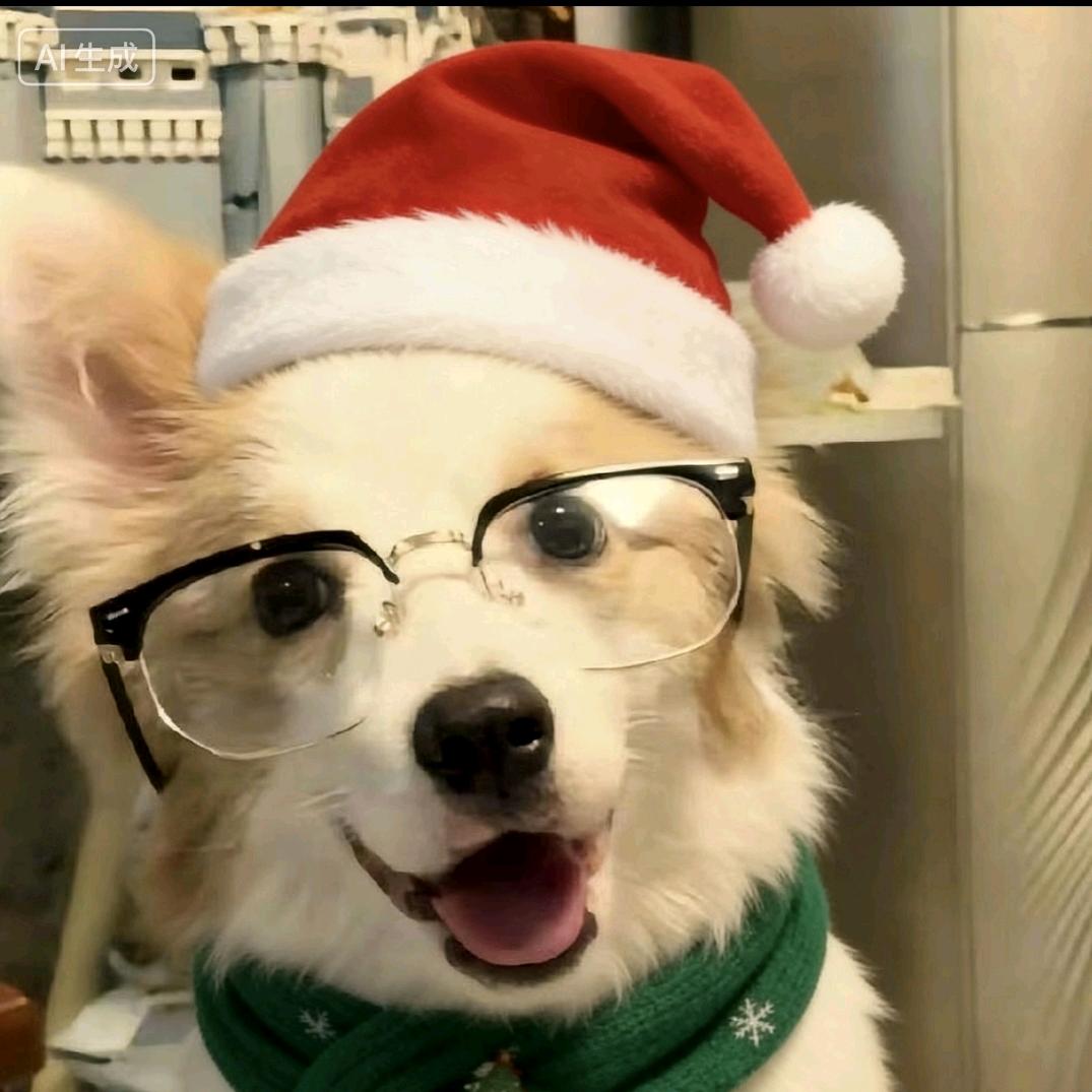 重生之幻想白富美爱上我