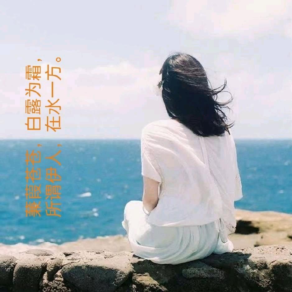 菩提子