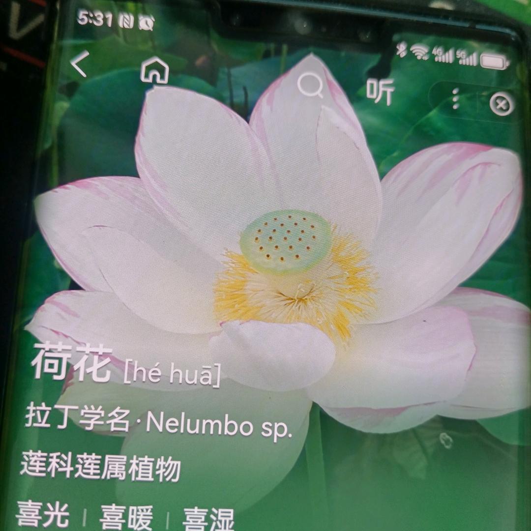 开心