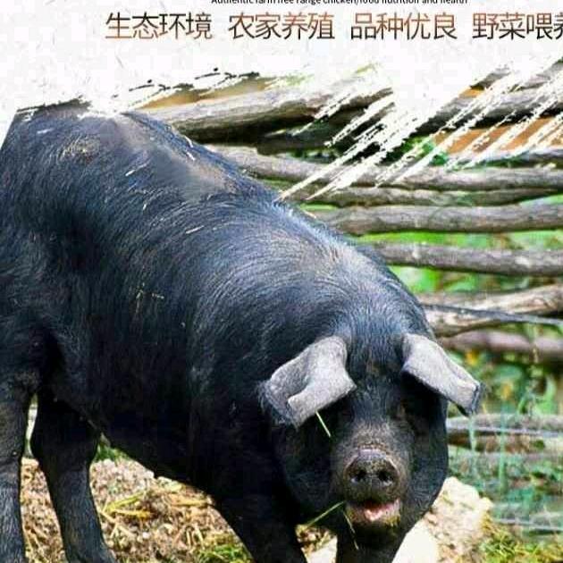 溪原寨生鲜店(企业号)
