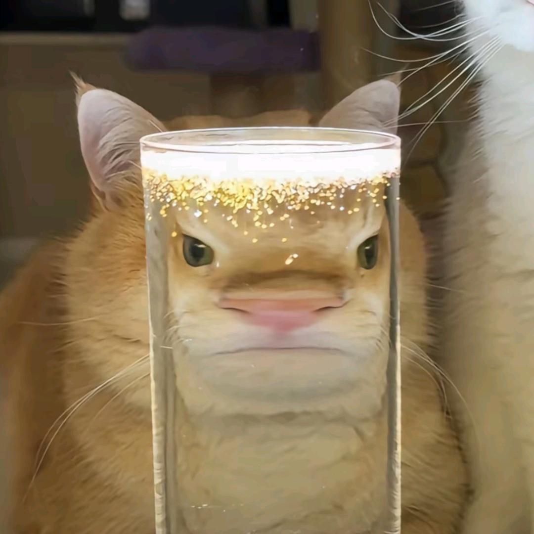 崔日愿