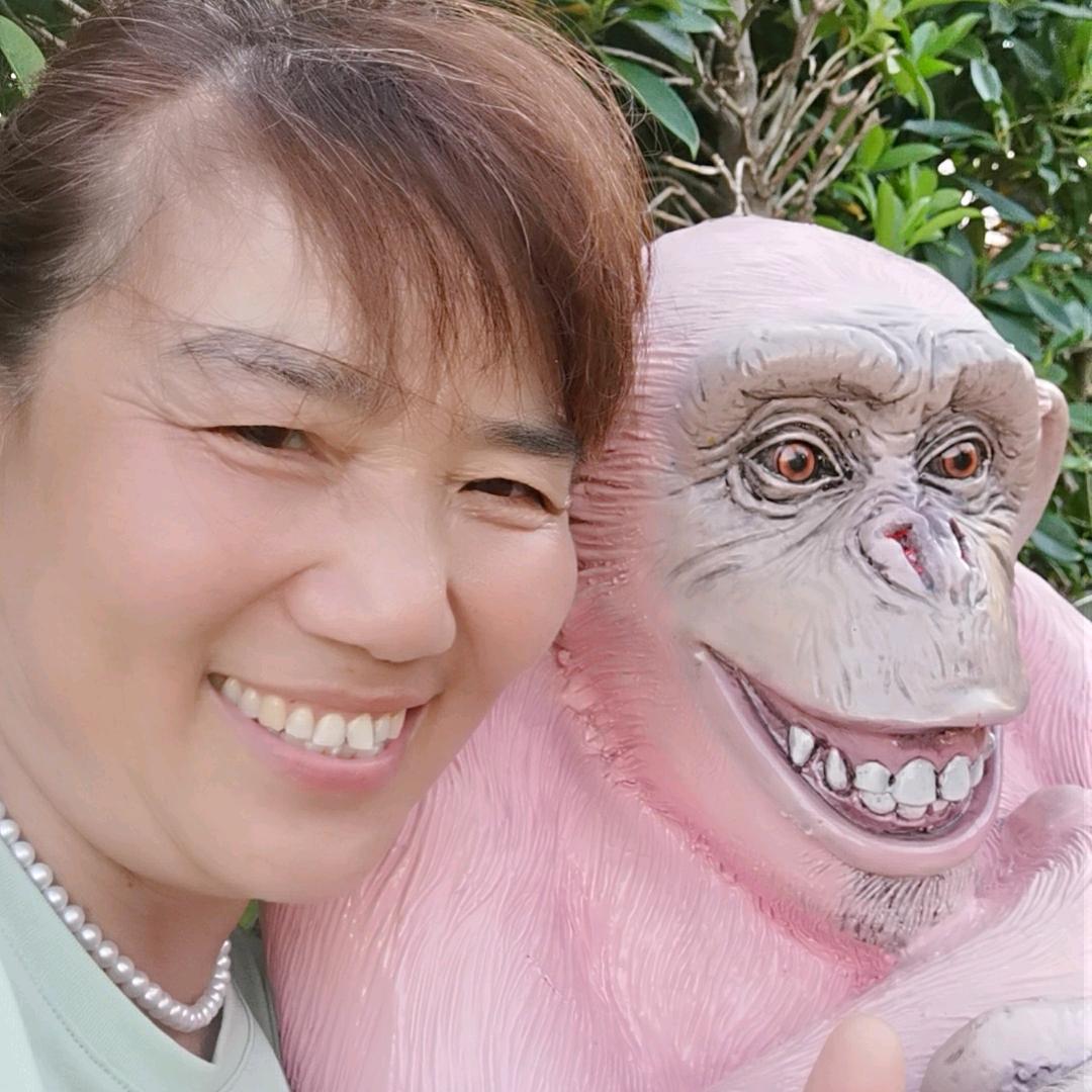 开心姐（首播起步）