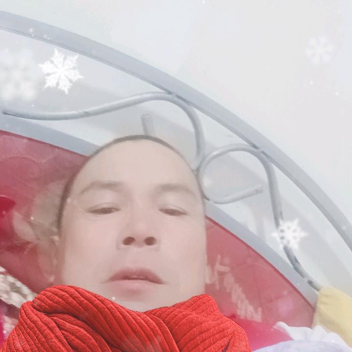 片片枫叶情