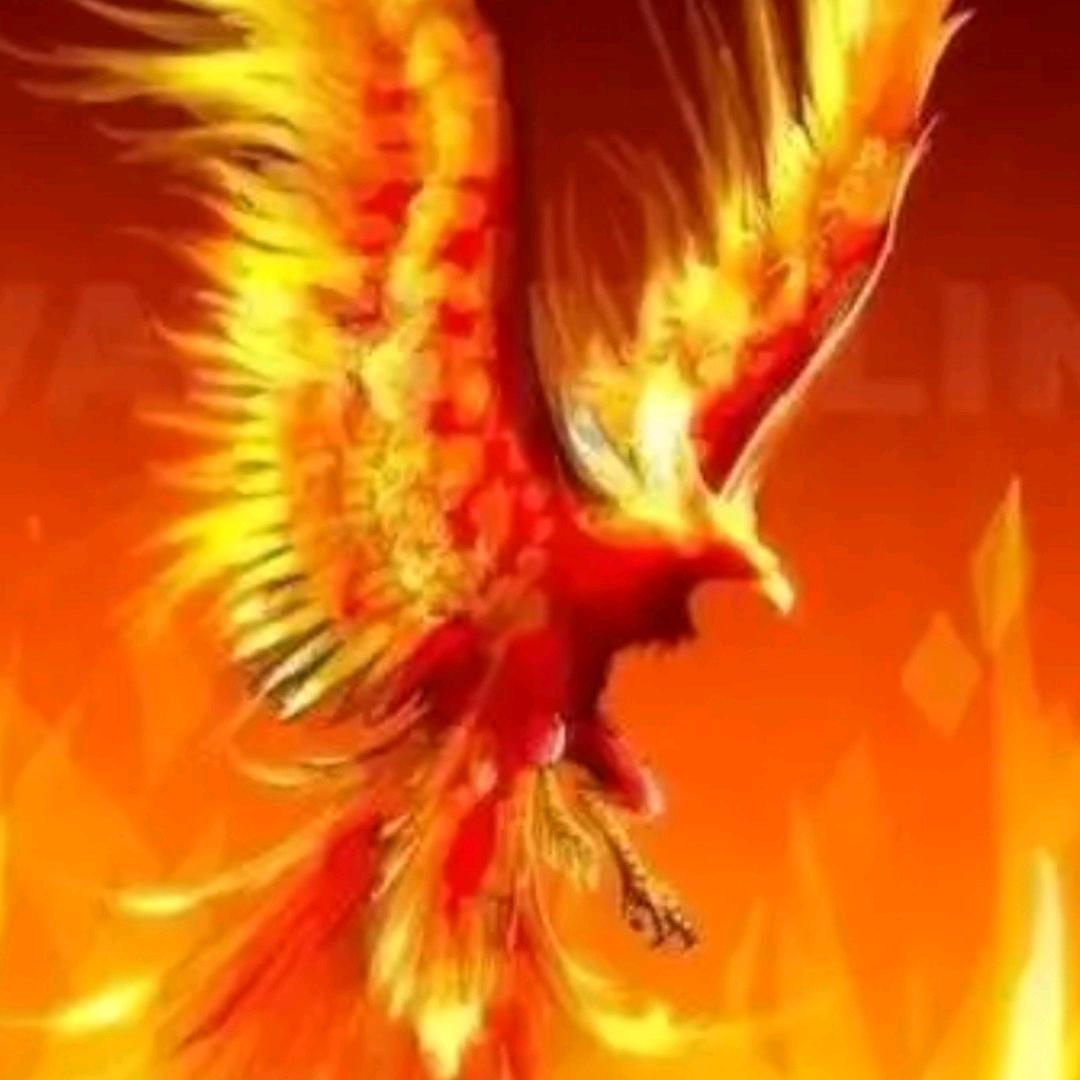 ە雄꧄ꦽོ💞ꦽོ鹰🦋༄꫟☔️