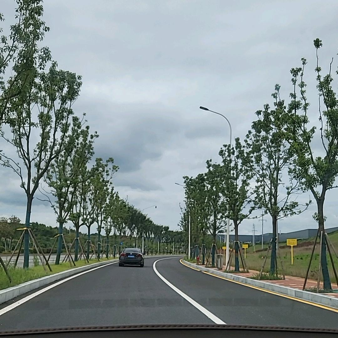 文哥聊鱼 优选好物铺子