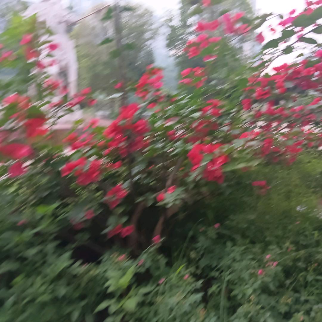 过好每一天