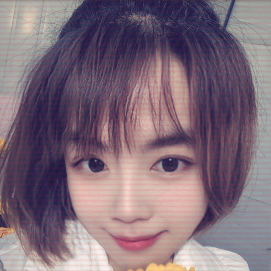 🌻向日葵🌻