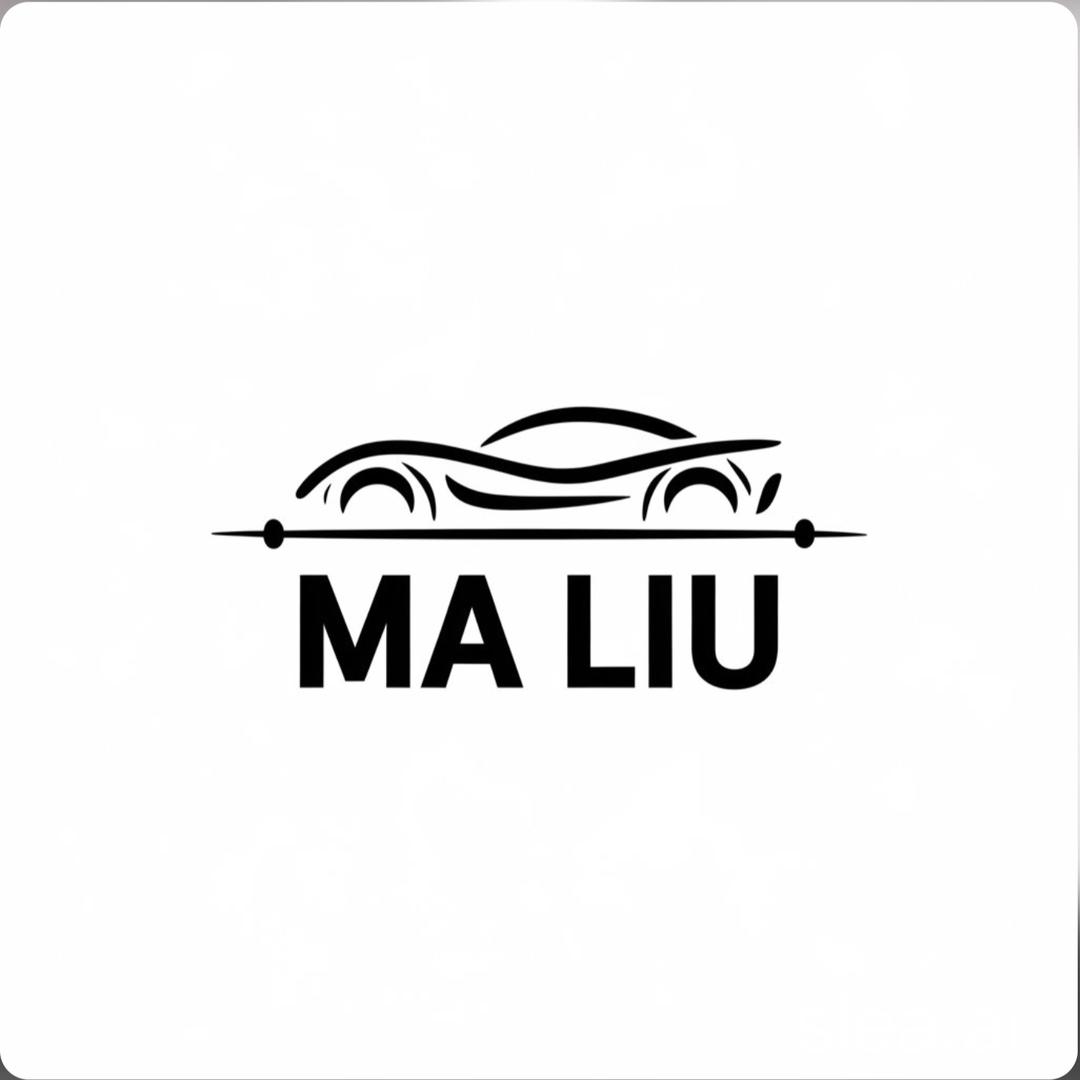 MA LIU汽车装饰品