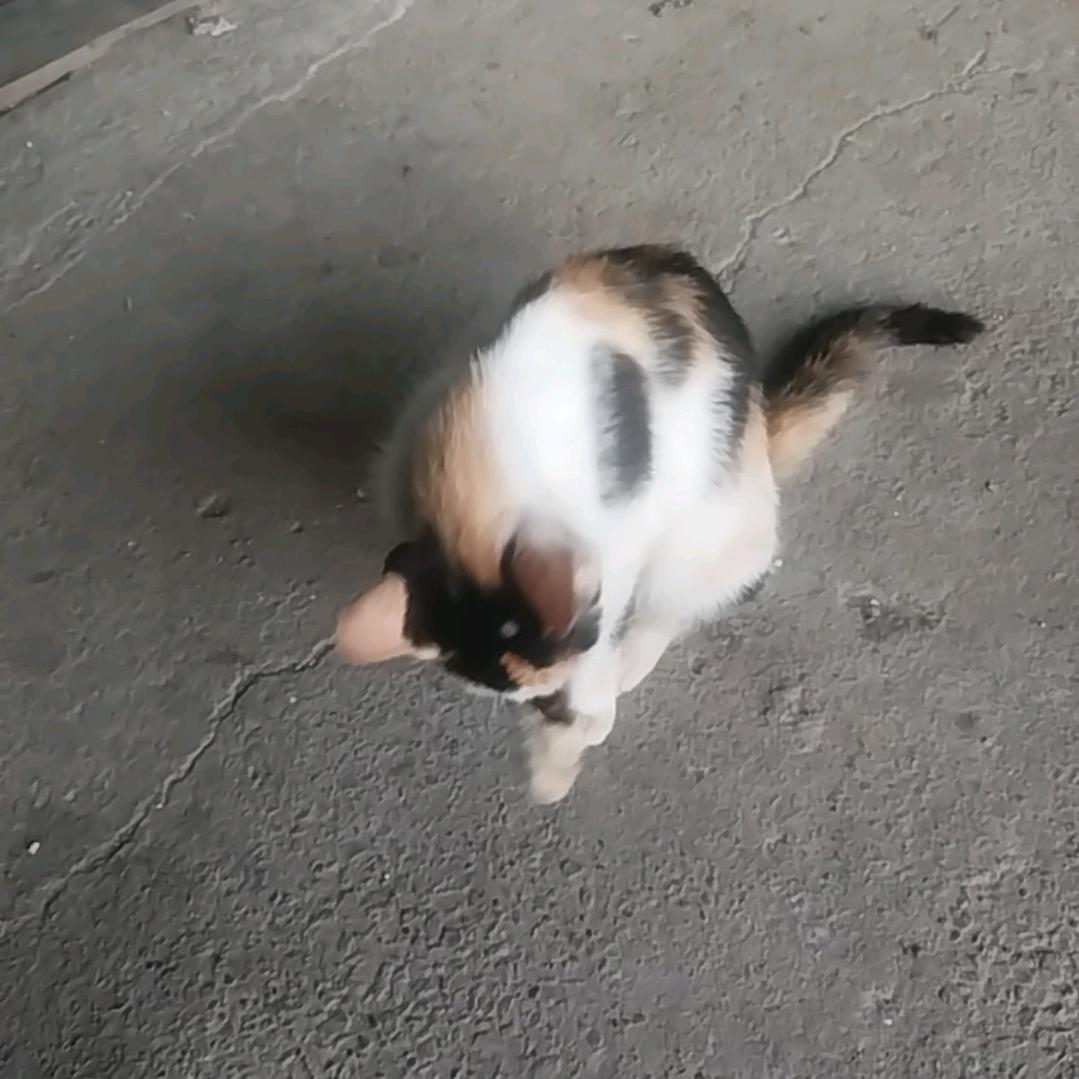 独来独往