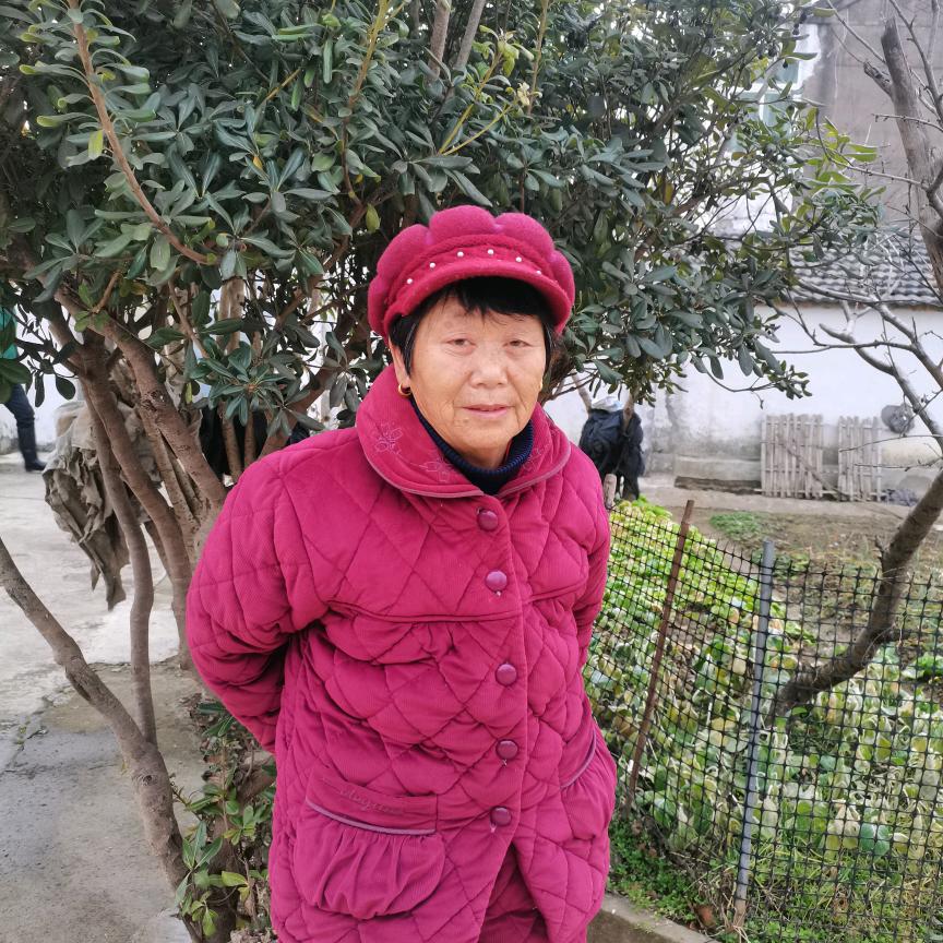 何四姐