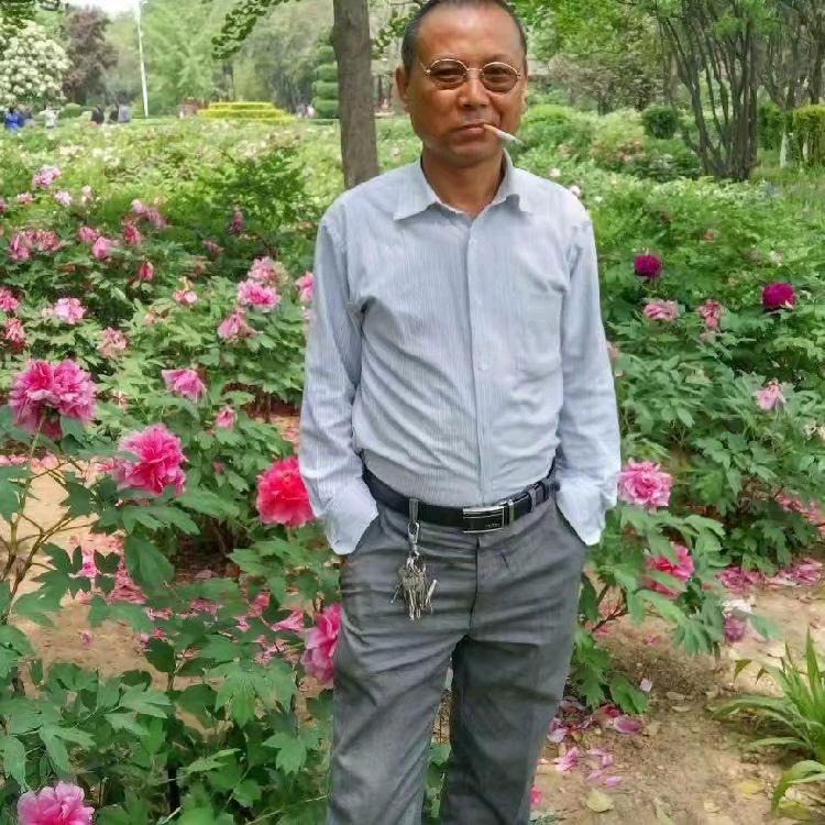 你真我就真，你假我转身