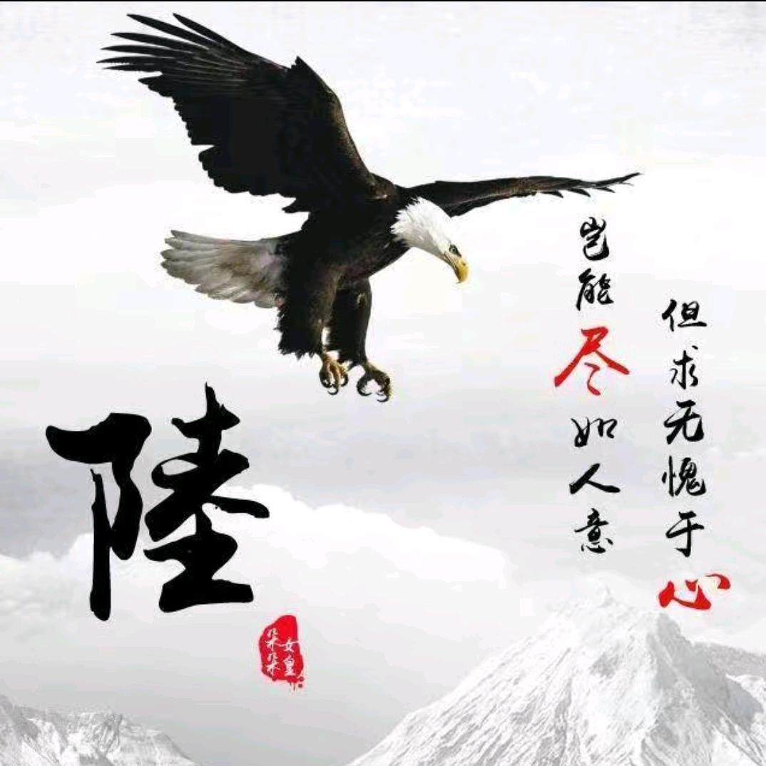 ✨一陆🐀平安✨