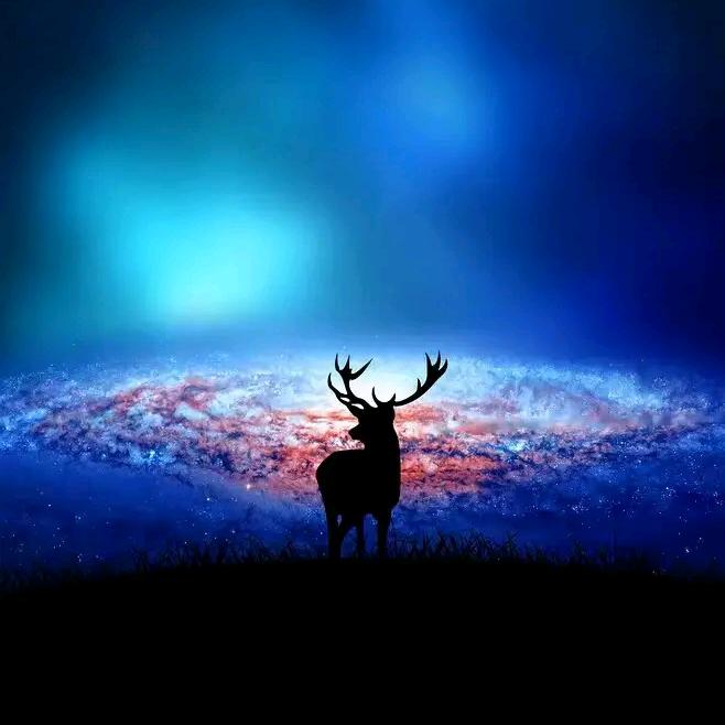 林深时见鹿ོᩚᩚ࿐