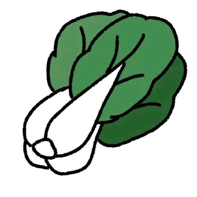白菜