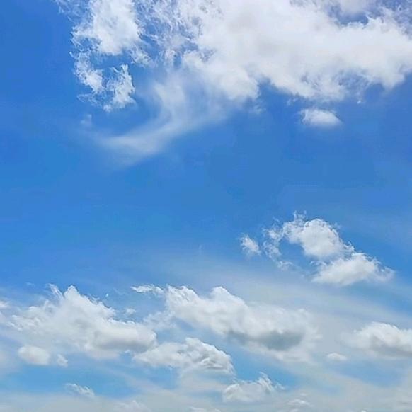 💞ღ᭄海阔天空🦋꧔ꦿ᭄?