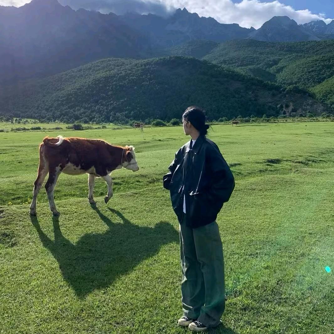 柏曲自考成考国开咨询