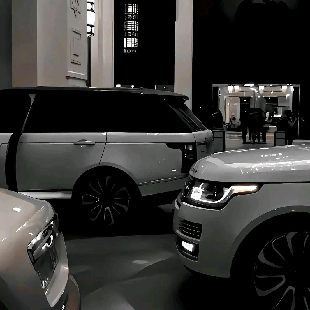 大方 淘淘二手车行