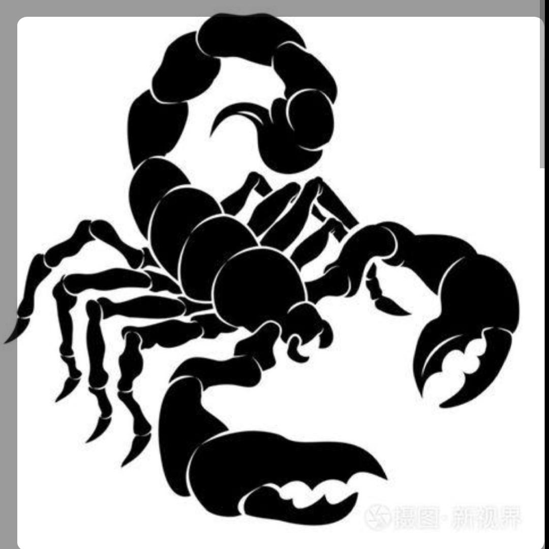 🦂🦂🦂🦂🦂🦂🦂