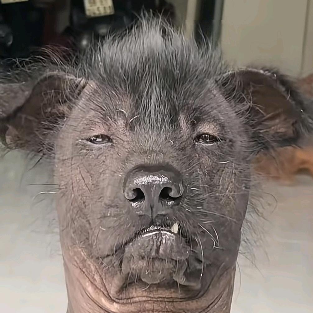 ༺孤༒行༒者༻