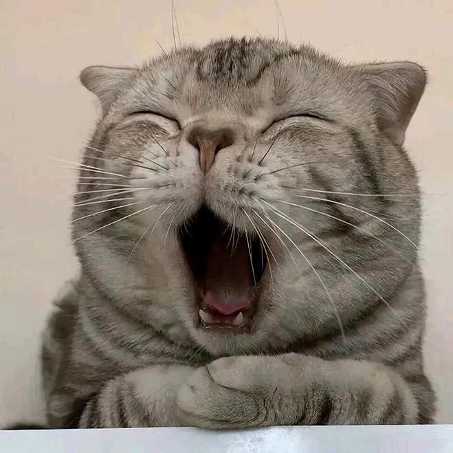 尽途璀璨