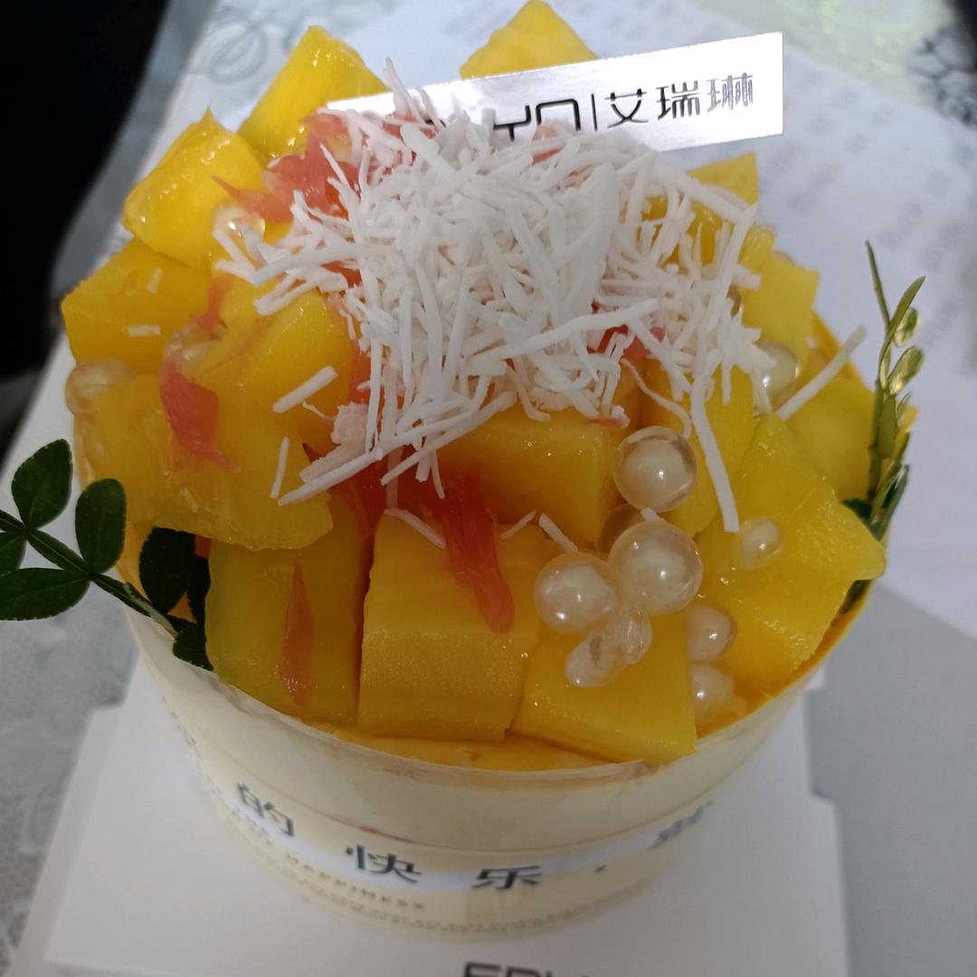 盒子里的猫