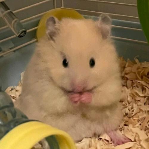 【时教太医】小太阳