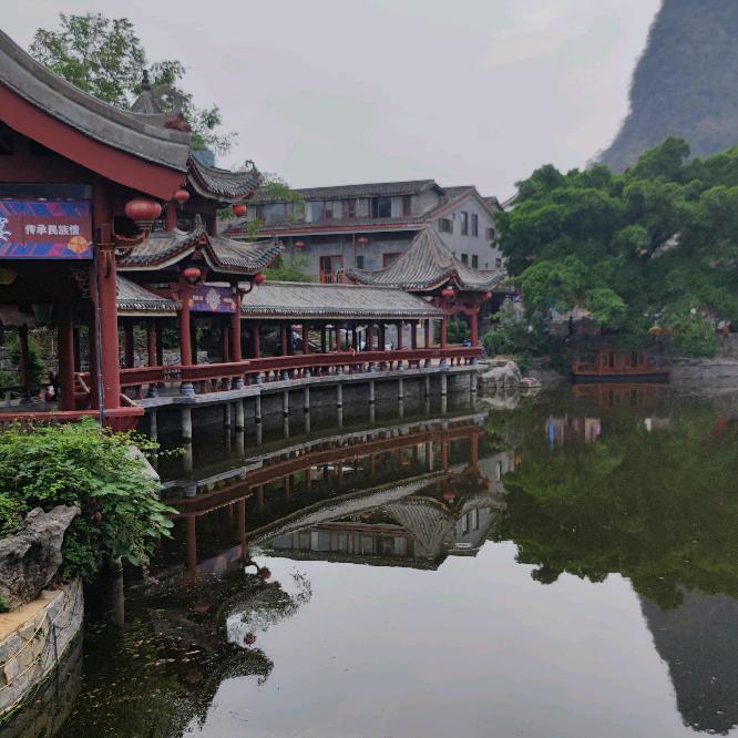 凤凤