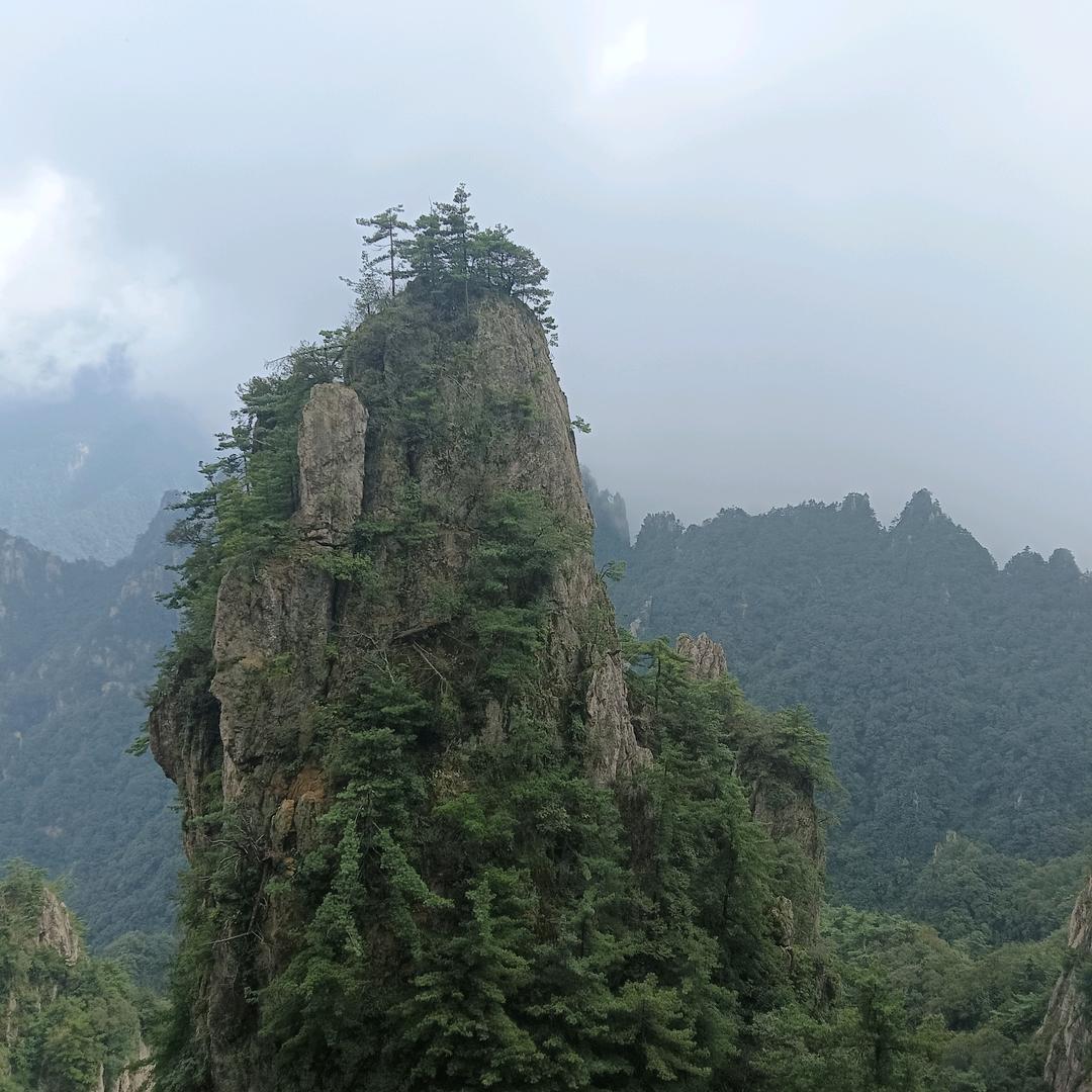 卖水果小张