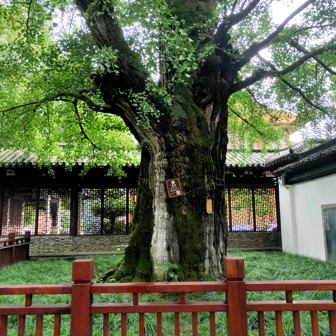 心灵的力量👏👏