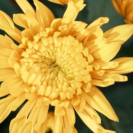 🌈天天开心🌈