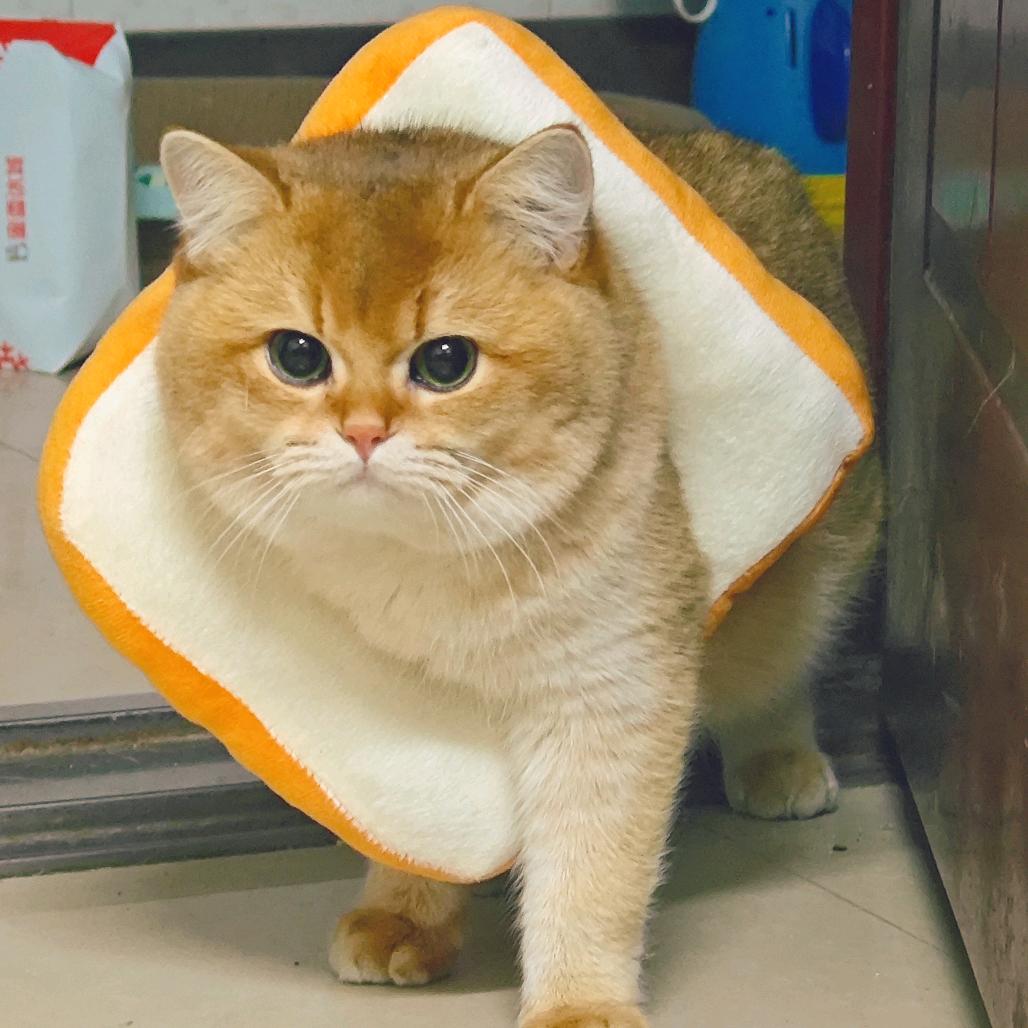 发财又暴富