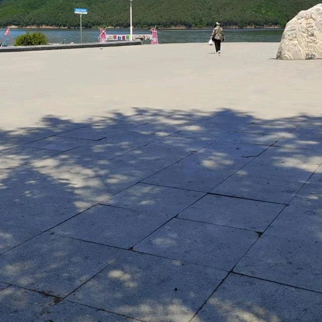 如愿。鹤岗。