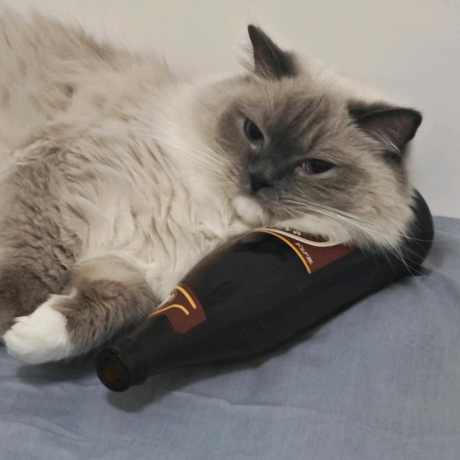 是煤煤也是妹妹