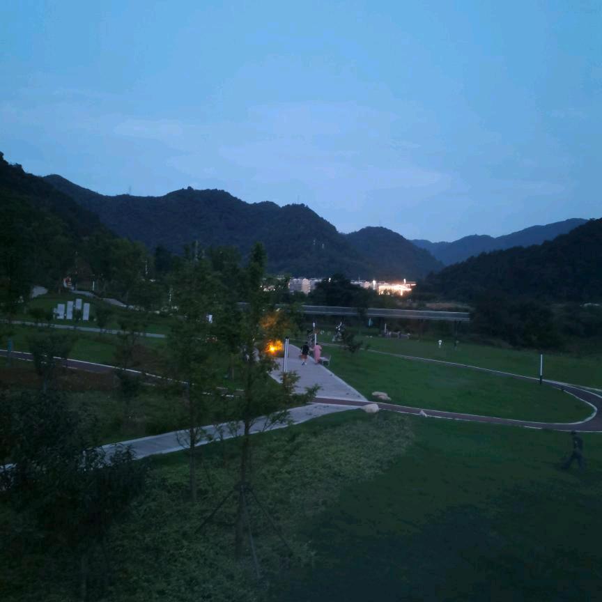 声明
