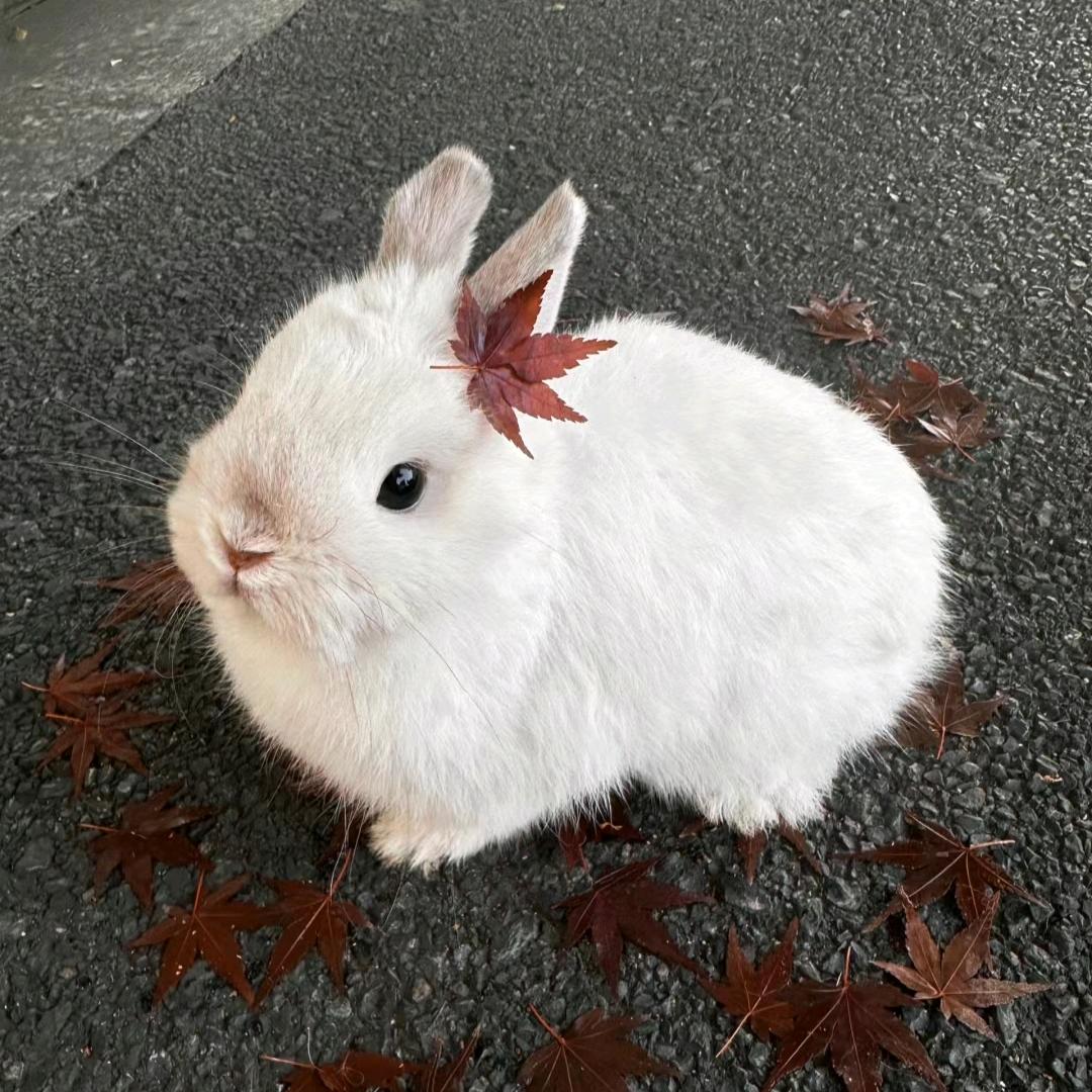 当天暖雨收时