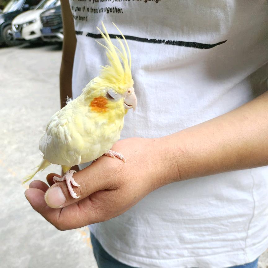 做♥自♥已♥的♥女♥王