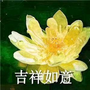 -不想变成秃头-