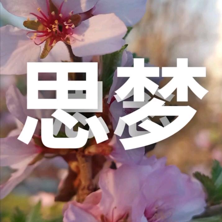 思梦