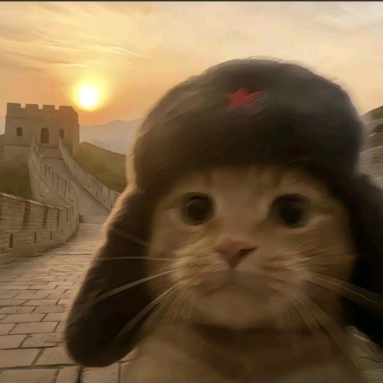 观̶星̶゛ঞ
